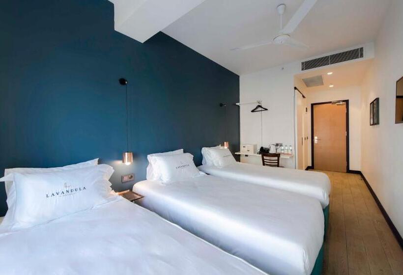 اتاق استاندارد سه نفره, Levent Lavandula