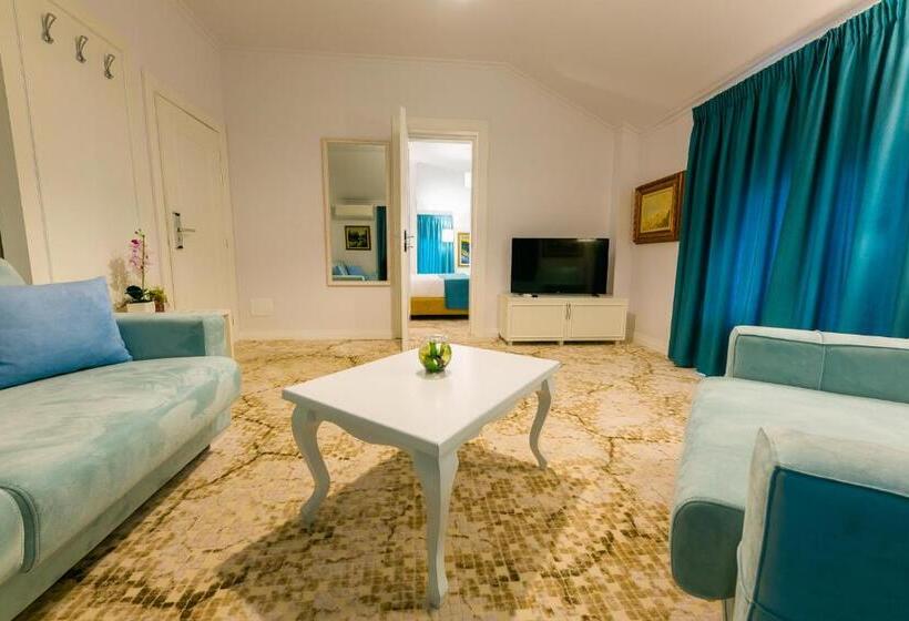 高级套房, Art Hotel Tirana