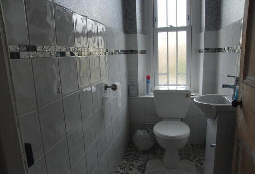 Номер Стандарт Индивидуальный Совместная Ванная, Llanwrtyd Hall B&b Angelis Holistic Retreat