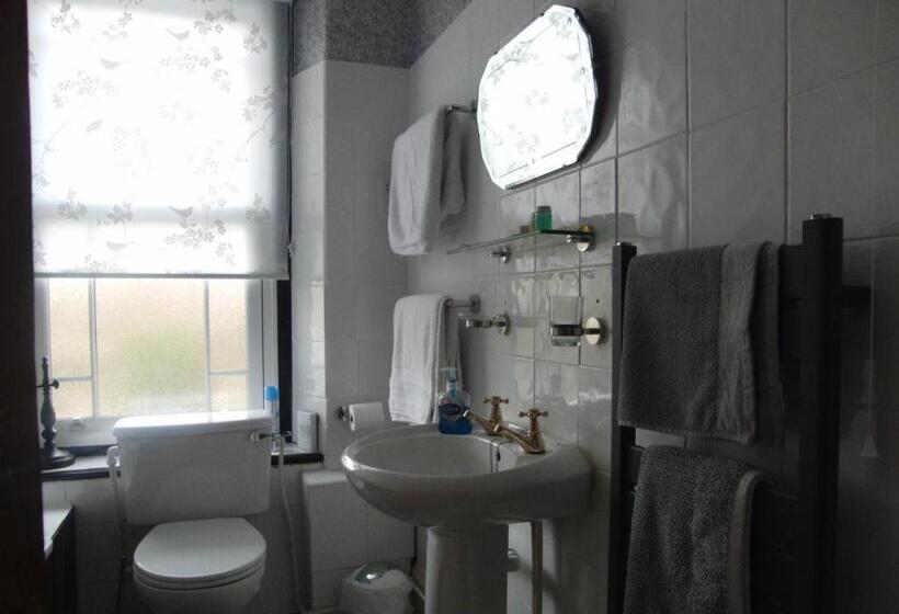 Номер Стандарт Индивидуальный Совместная Ванная, Llanwrtyd Hall B&b Angelis Holistic Retreat