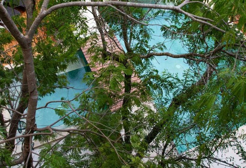家庭间, Little Gem Hotel Tulum La Veleta