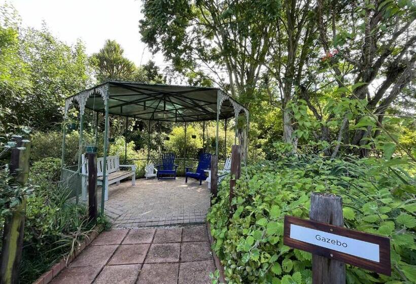 غرفة قياسية, Halleria Self Catering