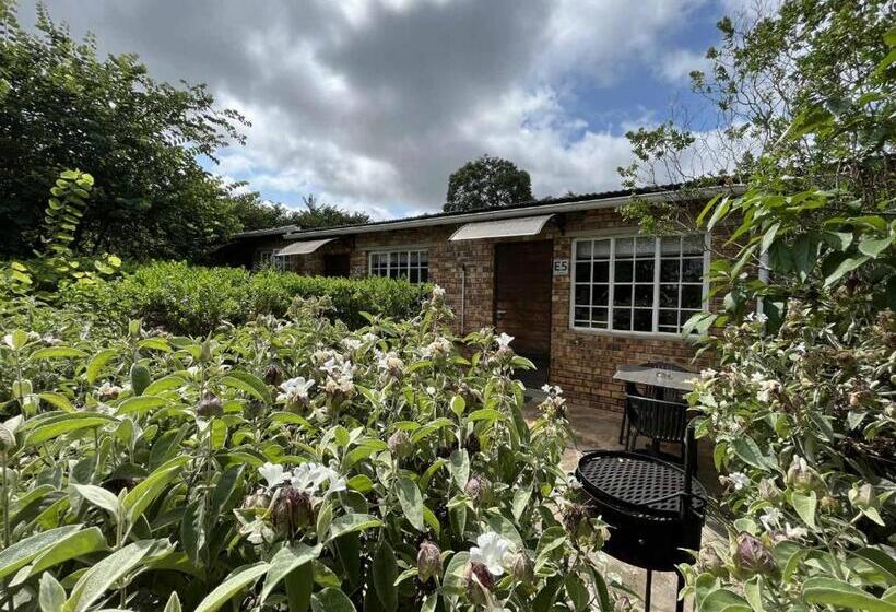 Номер Стандарт, Halleria Self Catering