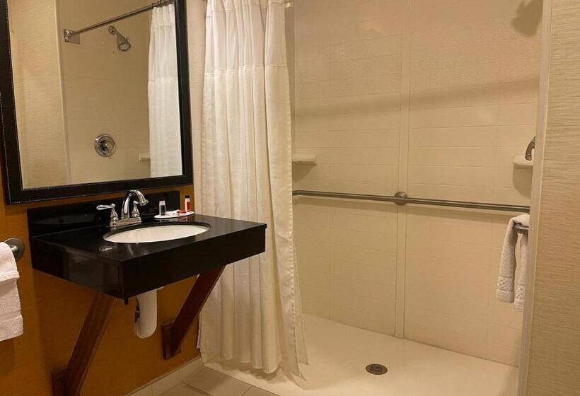 Номер Стандарт Кровать Кинг Адаптированный для Инвалидов, Baymont By Wyndham Chambersburg