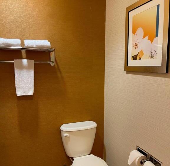 Люкс Deluxe Кровать Кинг, Baymont By Wyndham Chambersburg