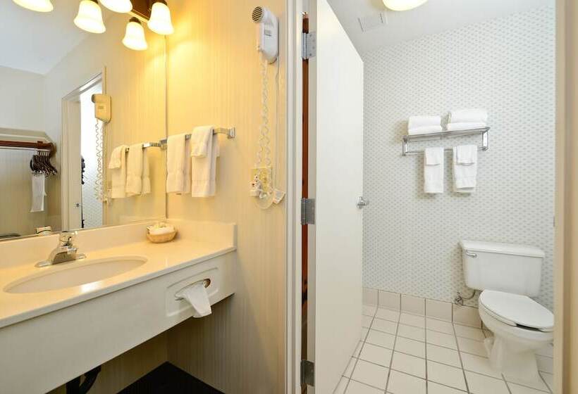 חדר סטנדרט שתי מיטות זוגיות, Clubhouse Inn