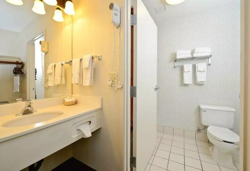 اتاق استاندارد با تخت بزرگ, Clubhouse Inn