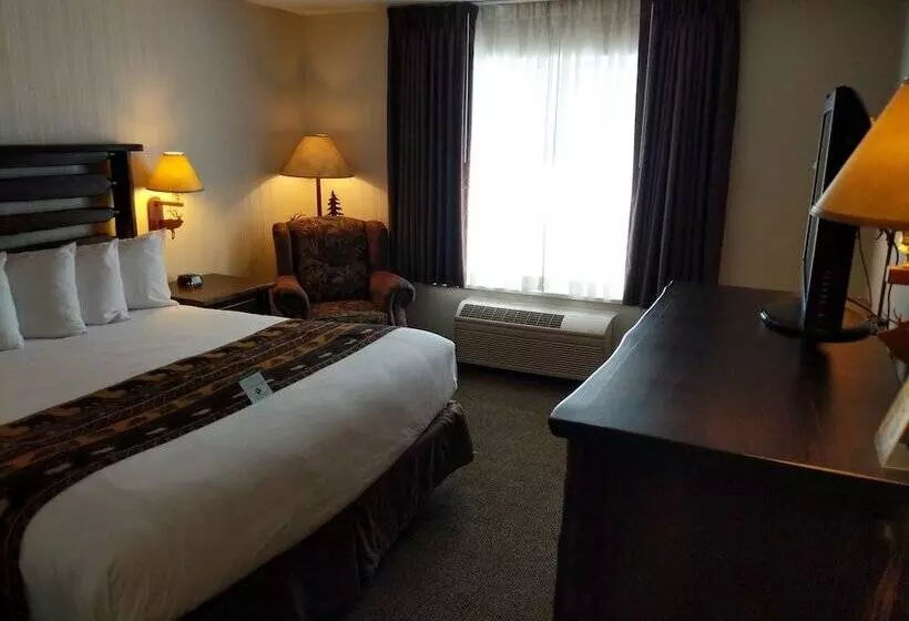 اتاق استاندارد با تخت بزرگ, Clubhouse Inn