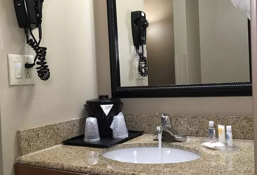 اتاق استاندارد با 2 تخت دوبل, Comfort Inn & Suites Near Kino Sports Complex