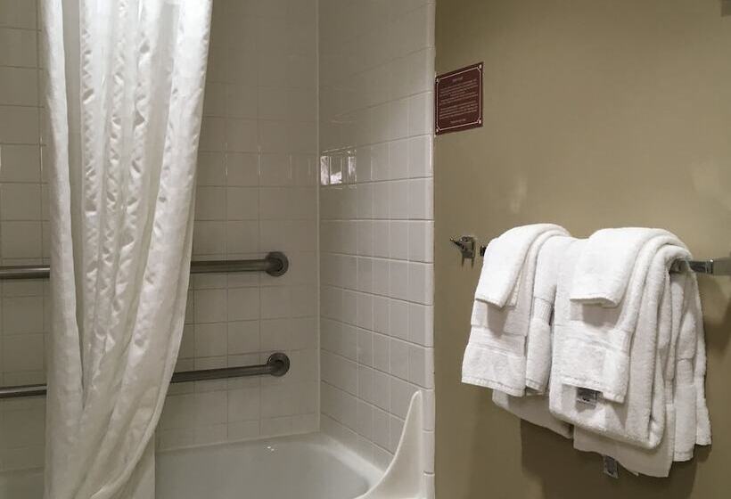 Номер Стандарт 2 Двуспальные Кровати, Comfort Inn & Suites Near Kino Sports Complex