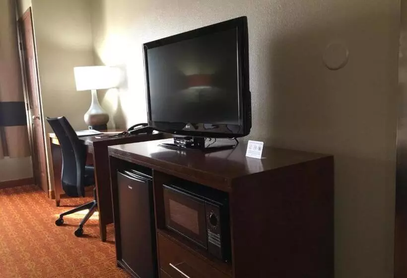 اتاق استاندارد با تخت بزرگ, Comfort Inn & Suites Near Kino Sports Complex