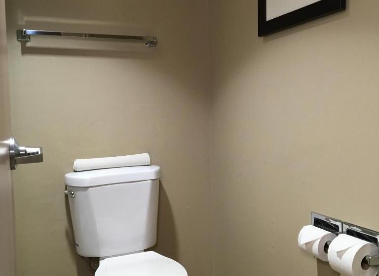Стандартный Номер Кровать Кинг, Comfort Inn & Suites Near Kino Sports Complex