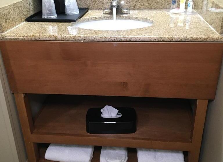 اتاق استاندارد با تخت بزرگ, Comfort Inn & Suites Near Kino Sports Complex