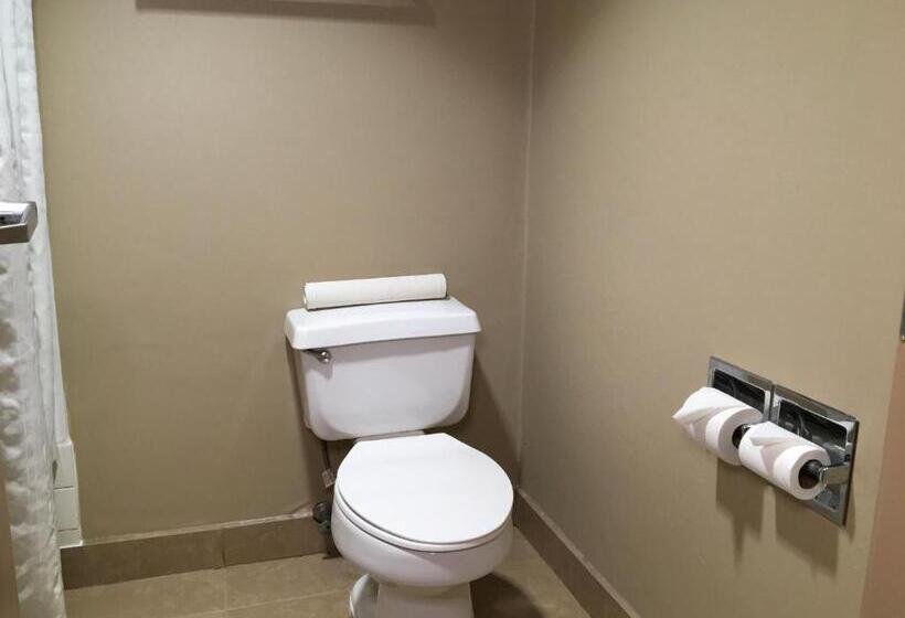 اتاق استاندارد, Comfort Inn & Suites Near Kino Sports Complex