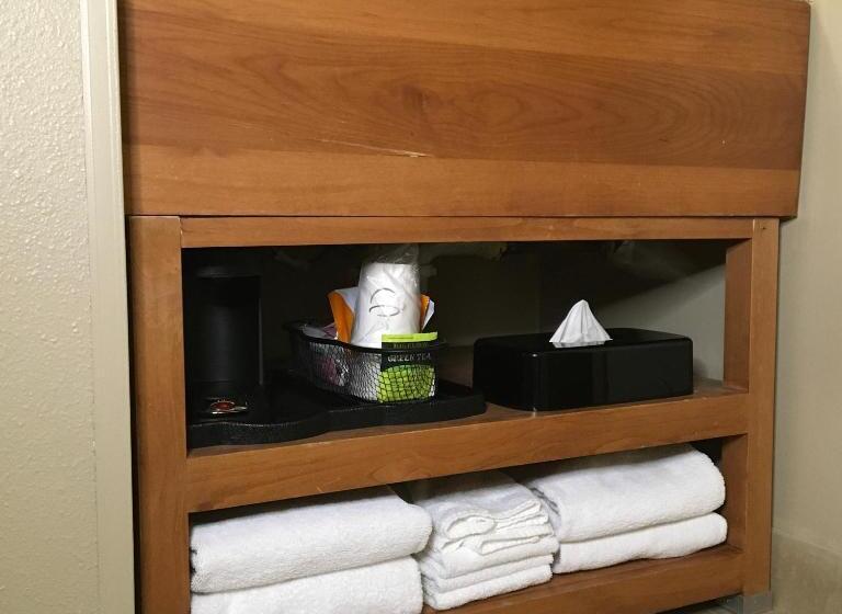 اتاق استاندارد, Comfort Inn & Suites Near Kino Sports Complex