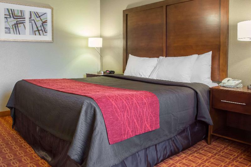 اتاق استاندارد با تخت بزرگ, Comfort Inn & Suites Near Kino Sports Complex