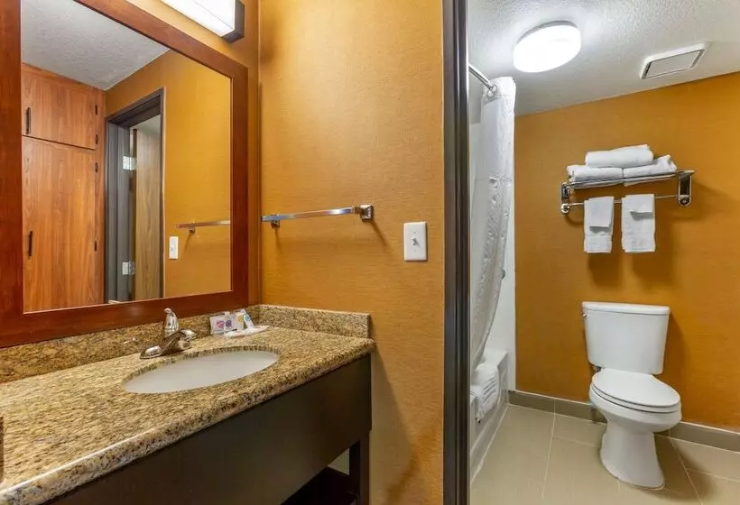 ２ダブルベッドのスタンダードルーム, Comfort Inn & Suites Phoenix North   Deer Valley