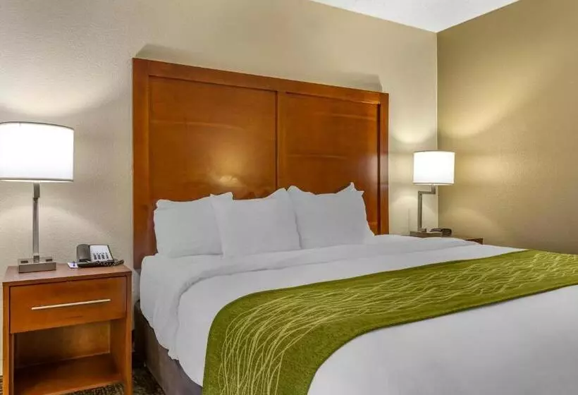 身障者適用スタンダードルーム, Comfort Inn & Suites Phoenix North   Deer Valley