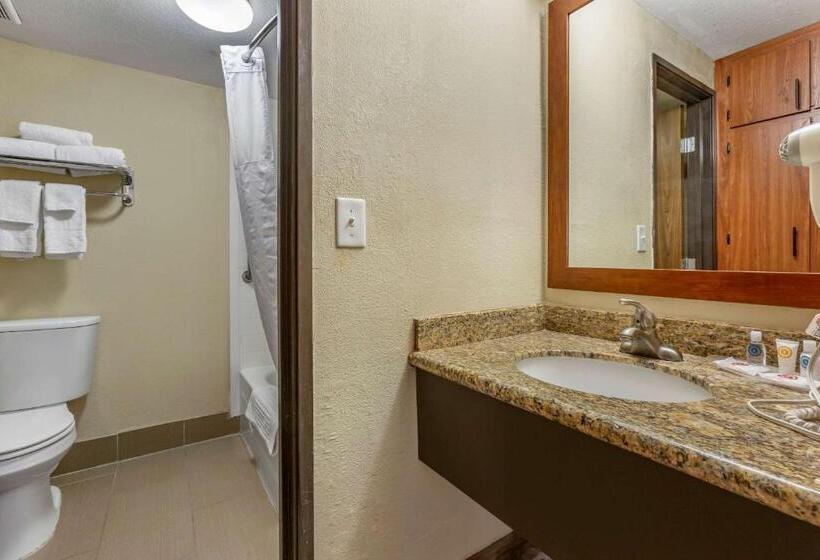 חדר סטנדרט מותאם לאדם עם מוגבלויות, Comfort Inn & Suites Phoenix North Deer Valley