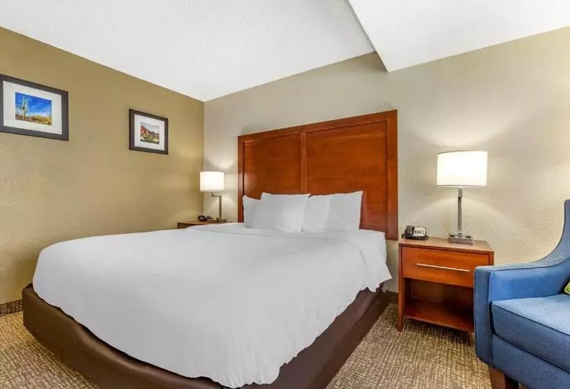 キングサイズベッドのスタンダードルーム, Comfort Inn & Suites Phoenix North   Deer Valley