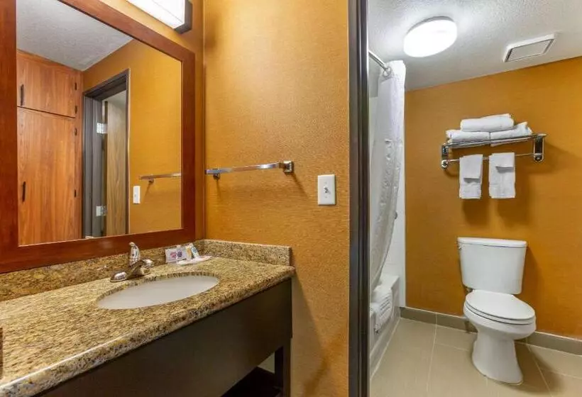 キングサイズベッドのスタンダードルーム, Comfort Inn & Suites Phoenix North   Deer Valley