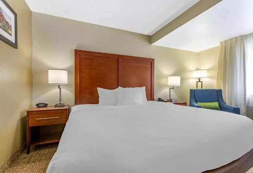 キングサイズベッドのスタンダードルーム, Comfort Inn & Suites Phoenix North   Deer Valley