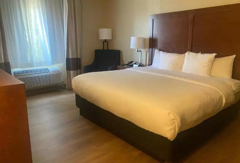 キングサイズベッドのスタンダードルーム, Comfort Inn & Suites Phoenix North   Deer Valley