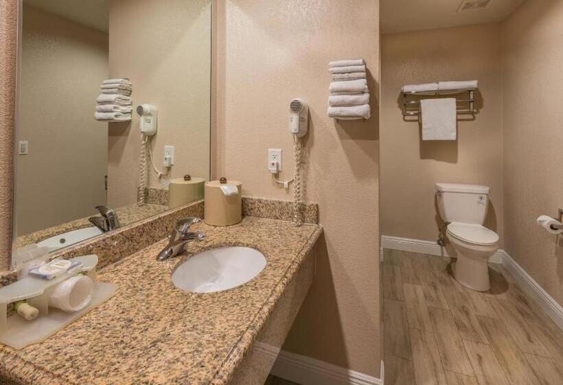 스탠다드 룸 킹사이즈 침대, Edge Water Inn