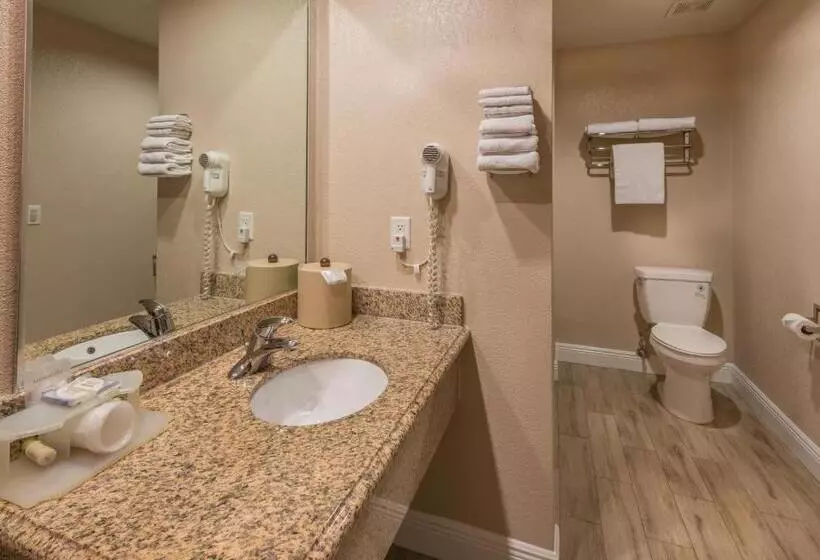 اتاق استاندارد, Edge Water Inn