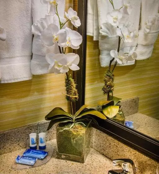 اتاق استاندارد با تخت بزرگ, Fairfield Inn & Suites Dulles Airport