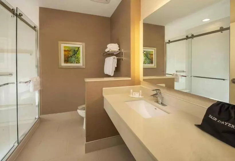 اتاق استاندارد با تخت بزرگ, Fairfield Inn & Suites Dulles Airport