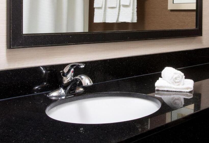 اتاق استاندارد با تخت بزرگ, Fairfield Inn & Suites South Bend Mishawaka