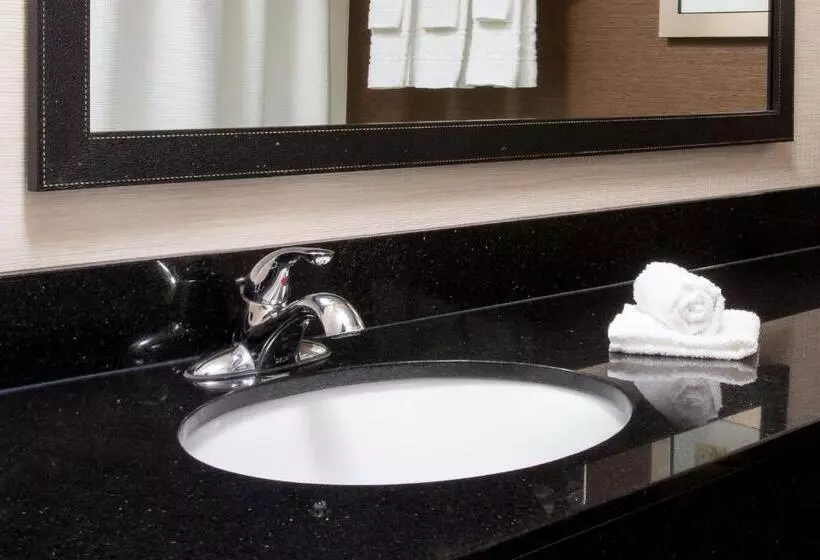 キングサイズベッドのスタンダードルーム, Fairfield Inn & Suites South Bend Mishawaka