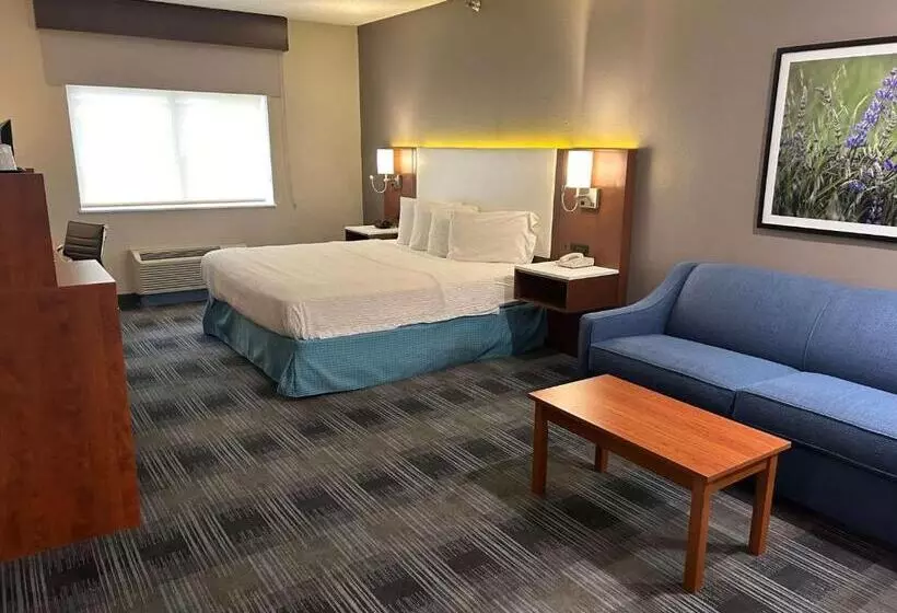 اتاق استاندارد با تخت بزرگ, Best Western Ottumwa Inn & Suites