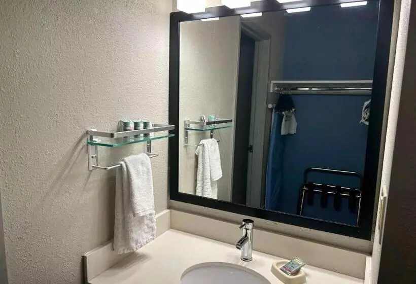 اتاق استاندارد با تخت بزرگ برای معلولان, Best Western Ottumwa Inn & Suites