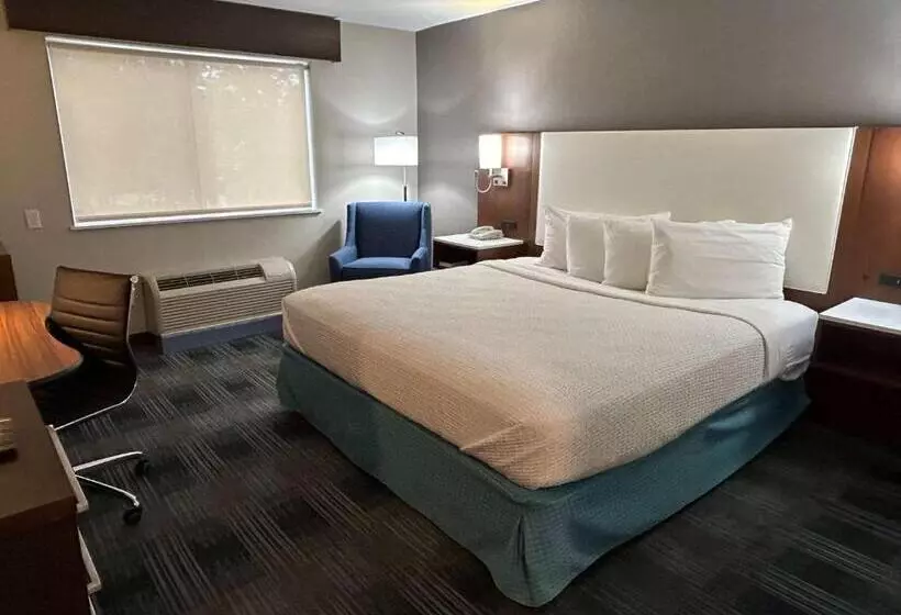 اتاق استاندارد با تخت بزرگ برای معلولان, Best Western Ottumwa Inn & Suites