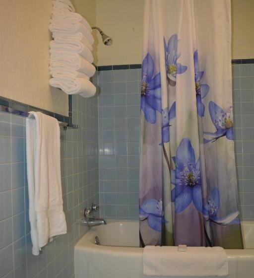 غرفة قياسية سرير كينج, The Evergreen Motel In Kansas