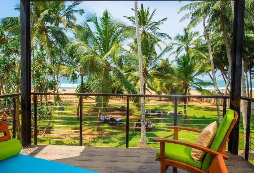 اتاق استاندارد, Mermaid Hotel & Club