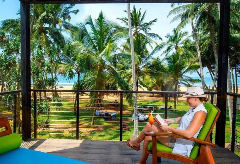 اتاق لوکس, Mermaid Hotel & Club