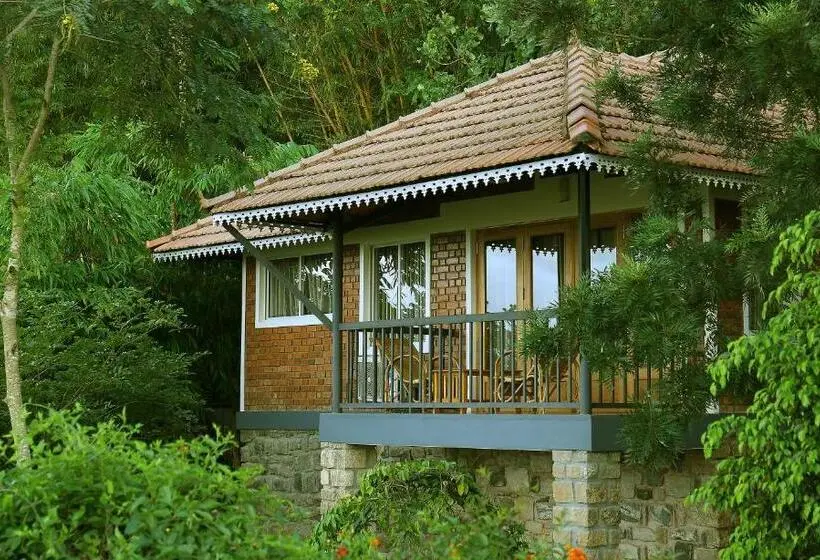 デラックスルーム, Mount Xanadu Resorts