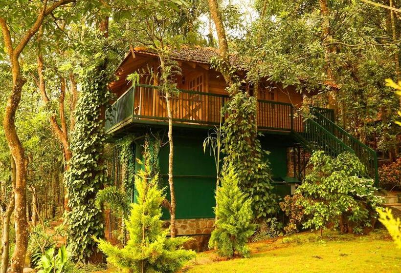 בקתת חדר, Mount Xanadu Resorts