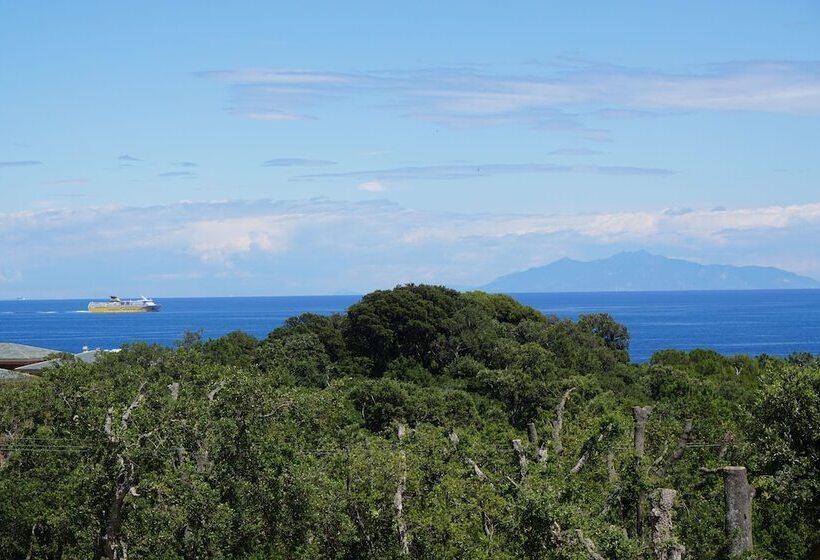 غرفة دوبلكس, Suites In Erbalunga