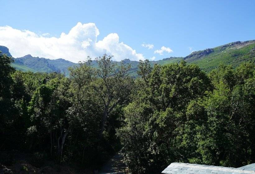 غرفة دوبلكس, Suites In Erbalunga