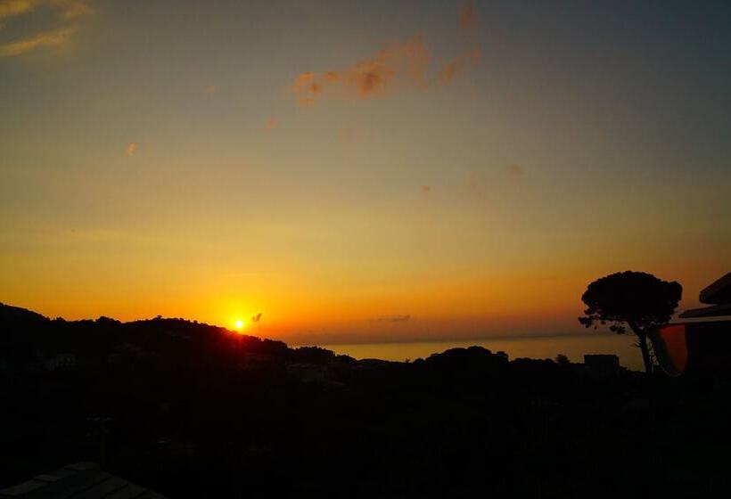 غرفة دوبلكس, Suites In Erbalunga