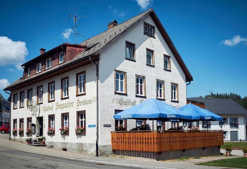 Номер Стандарт Индивидуальный, Gasthof & Pension Steppacher