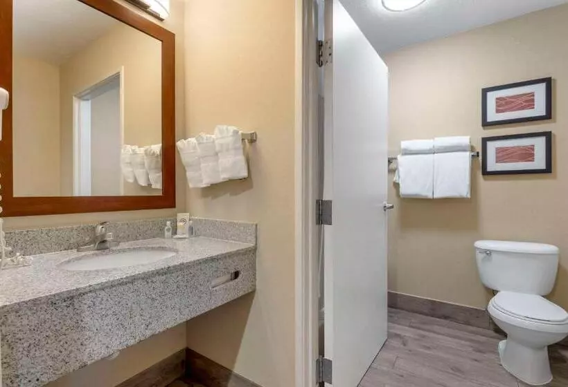 キングサイズベッドのスタンダードルーム, Comfort Inn & Suites Orem  Provo