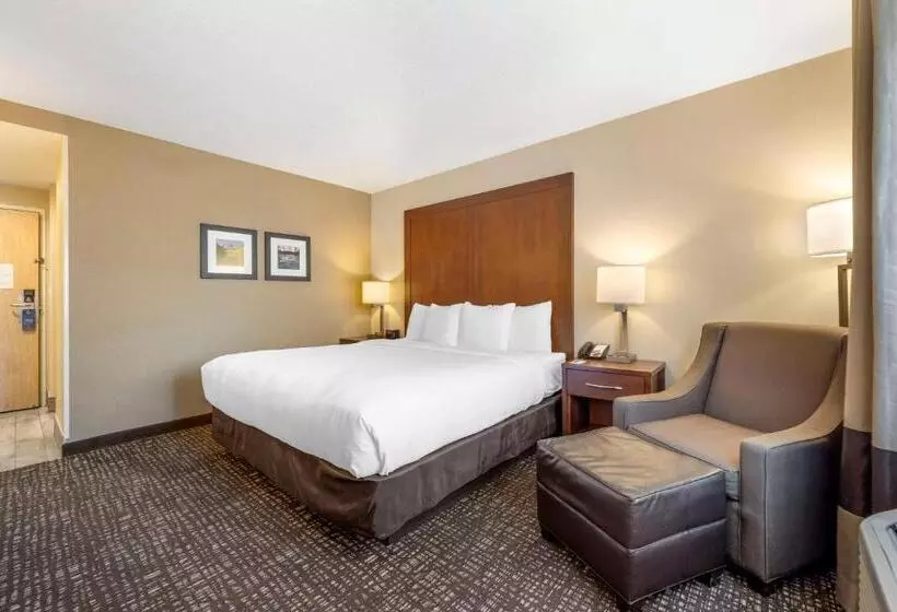 キングサイズベッドのスタンダードルーム, Comfort Inn & Suites Orem  Provo