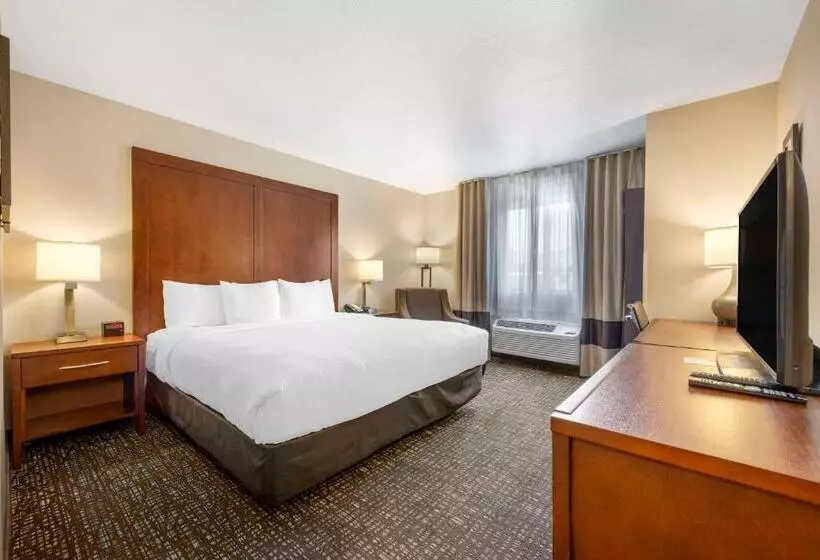 キングサイズベッドのスタンダードルーム, Comfort Inn & Suites Orem  Provo