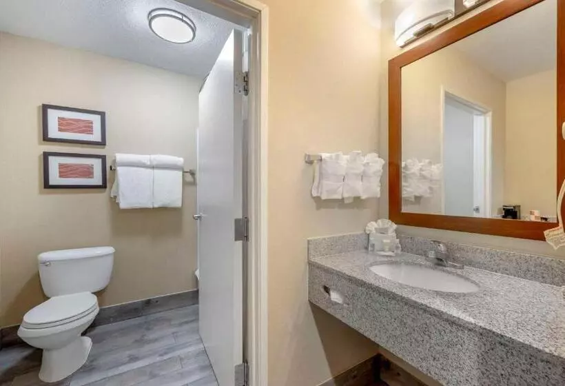 スタンダードルーム, Comfort Inn & Suites Orem  Provo