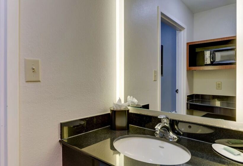 ２ダブルベッドのスタンダードルーム, Fairfield Inn By Marriott Las Colinas